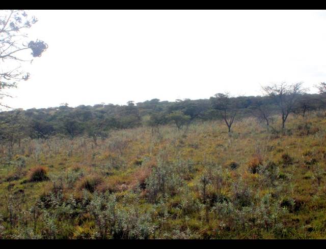 367HA FARM FOR SALE IN KOMGA